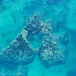 Merendella