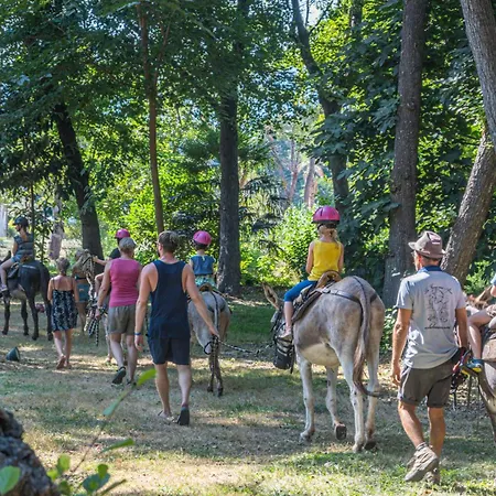 Aldeamento Turístico Merendella 4*