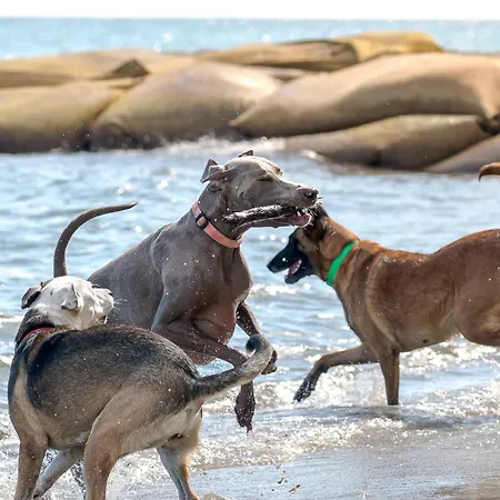 Merendella База отдыха Сан-Николао
