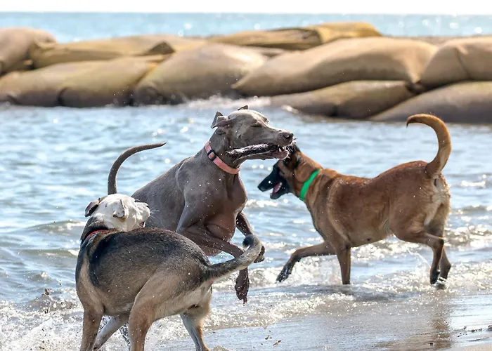 Merendella Vakantiepark San-Nicolao